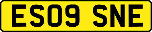 ES09SNE