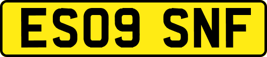 ES09SNF