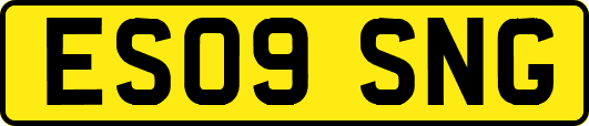 ES09SNG