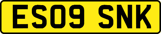 ES09SNK