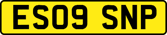ES09SNP