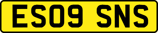 ES09SNS