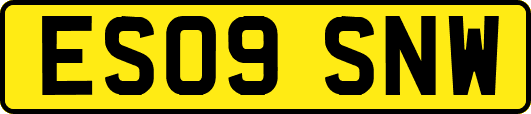 ES09SNW