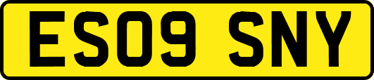 ES09SNY