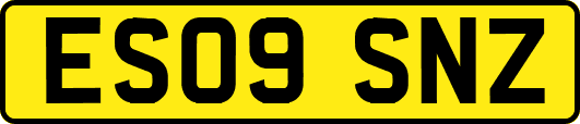ES09SNZ