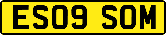 ES09SOM