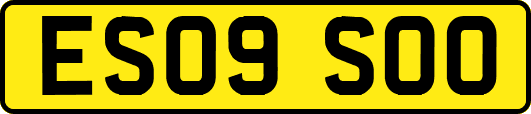 ES09SOO