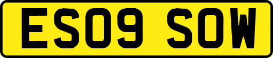 ES09SOW