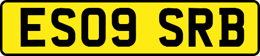 ES09SRB
