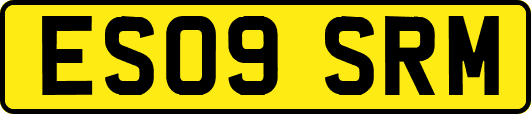 ES09SRM