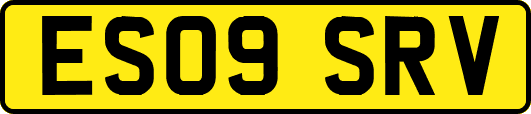ES09SRV