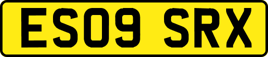 ES09SRX