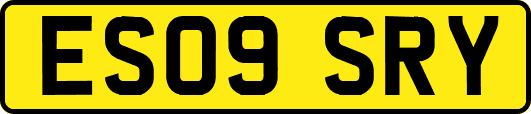 ES09SRY