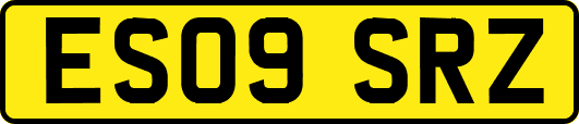ES09SRZ