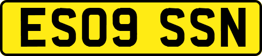 ES09SSN