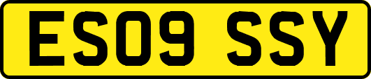 ES09SSY