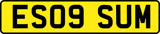 ES09SUM