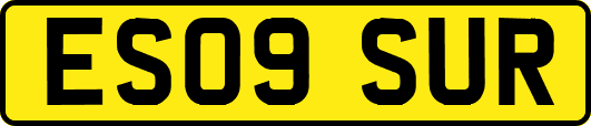 ES09SUR