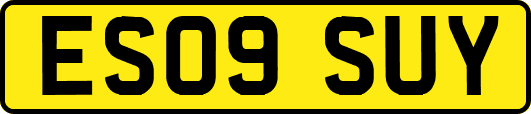 ES09SUY