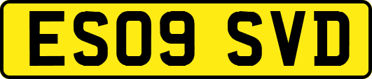 ES09SVD