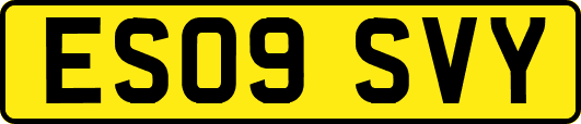 ES09SVY