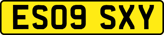 ES09SXY