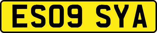 ES09SYA