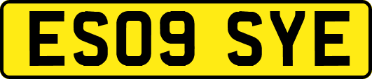 ES09SYE
