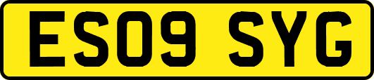 ES09SYG