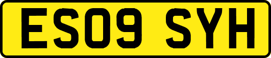 ES09SYH