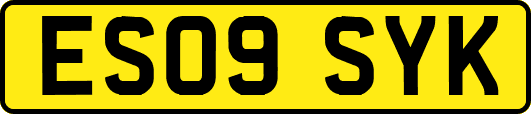 ES09SYK