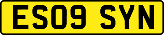 ES09SYN