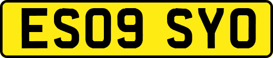 ES09SYO