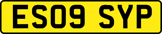 ES09SYP