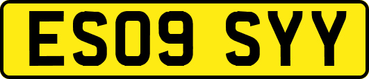 ES09SYY