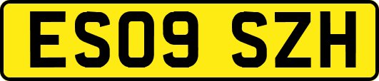 ES09SZH