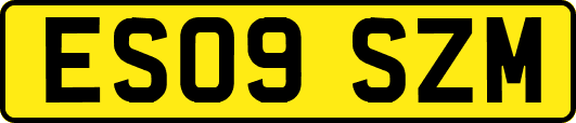 ES09SZM