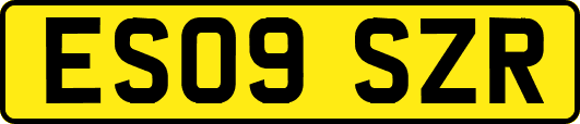 ES09SZR