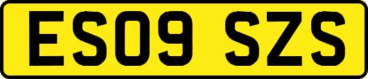 ES09SZS