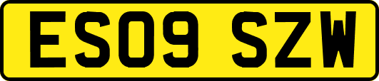 ES09SZW