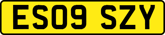 ES09SZY
