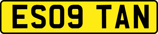 ES09TAN