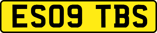 ES09TBS