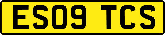 ES09TCS