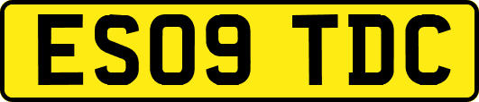 ES09TDC
