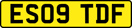 ES09TDF