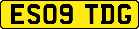 ES09TDG