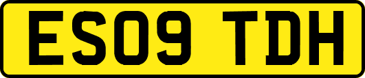 ES09TDH