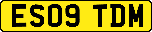 ES09TDM