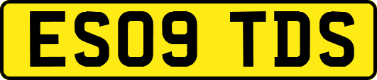 ES09TDS